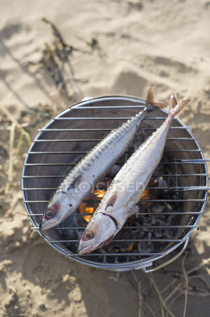 Dois peixes cozinhando sobre carvão quente — Fotografia de Stock