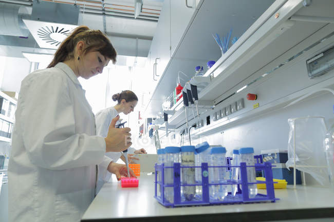 Біологічна лабораторія жіночих техніків на роботі — стокове фото