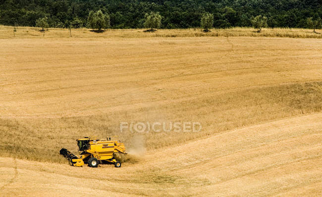 Combine harvester at work — Stock Photo