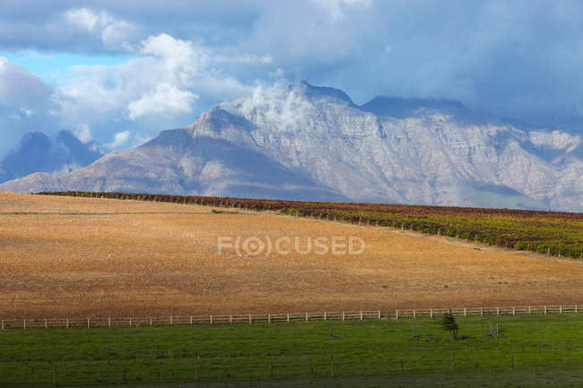 Berglandschaft und Weinberge — Stockfoto
