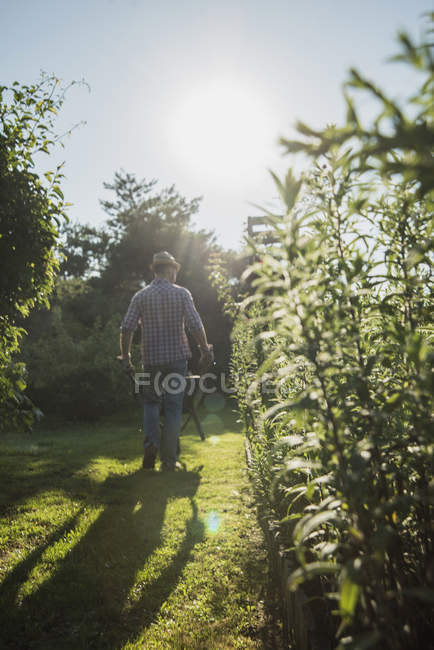 Gardener with wheelbarrow of grass cutting — Stock Photo