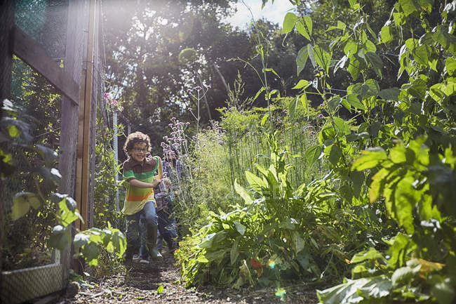 Мальчики бегут на зеленом участке под солнечным светом — стоковое фото