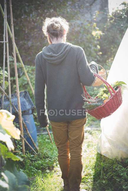 Jeune homme avec panier de légumes maison — Photo de stock