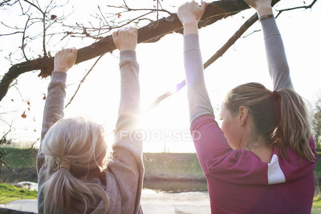 Vista trasera de las mujeres haciendo flexiones de barbilla en la rama del árbol - foto de stock