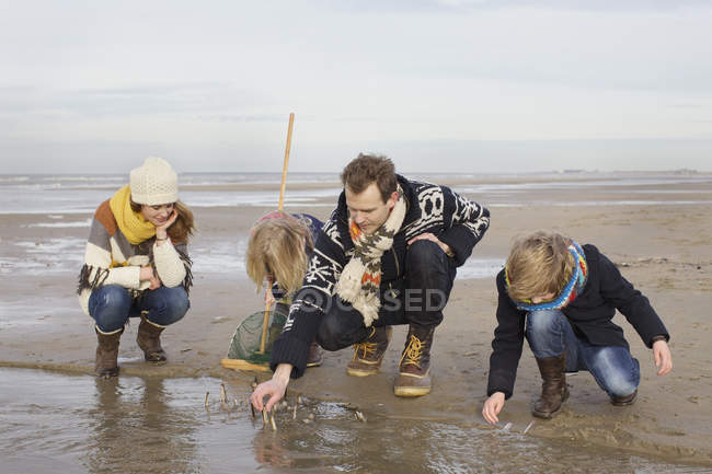 Mitte erwachsene Eltern mit Sohn und Tochter auf der Suche nach Muscheln am Strand, bloemendaal aan zee, Niederlande — Stockfoto