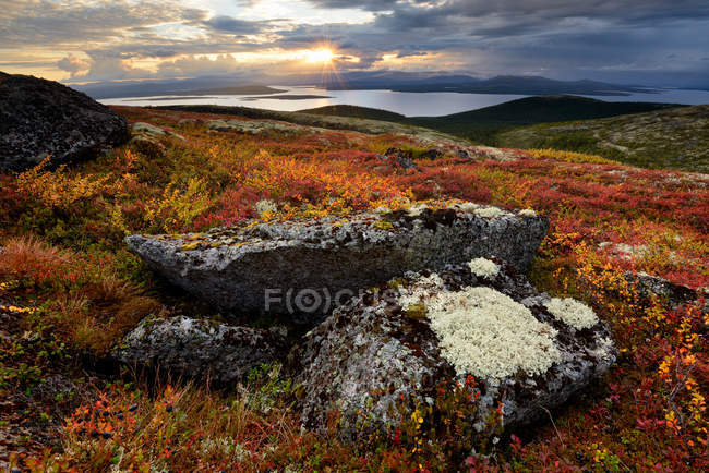 Paisaje de color otoñal en el lago Imandra, montañas Khibiny, península de Kola, Rusia - foto de stock