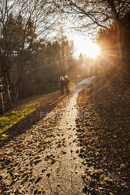 Pareja mayor paseando por la carretera forestal iluminada por el sol en otoño, Lombardía, Italia - foto de stock
