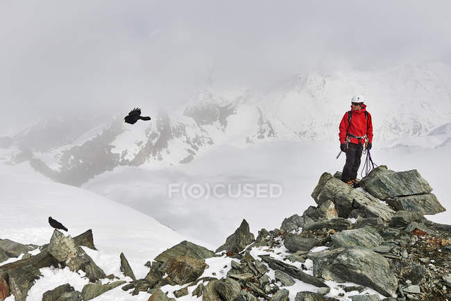 Man on top of snow covered mountain looking at bird in flight, Saas Fee, Suíça — Fotografia de Stock