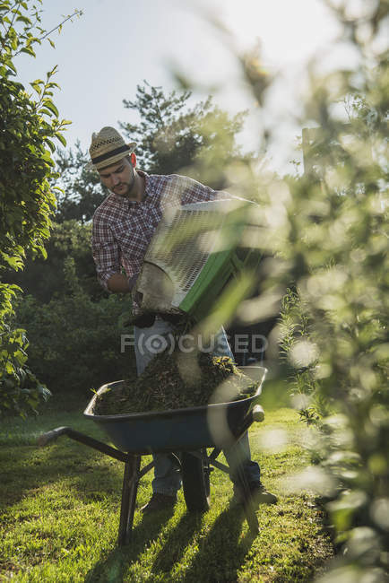 Gardener with wheelbarrow of grass cutting — Stock Photo