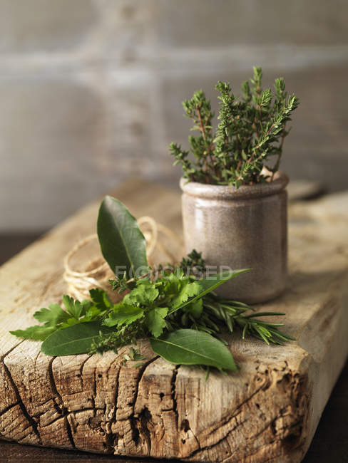 Variété d'herbes fraîches et pot sur bois rustique — Photo de stock
