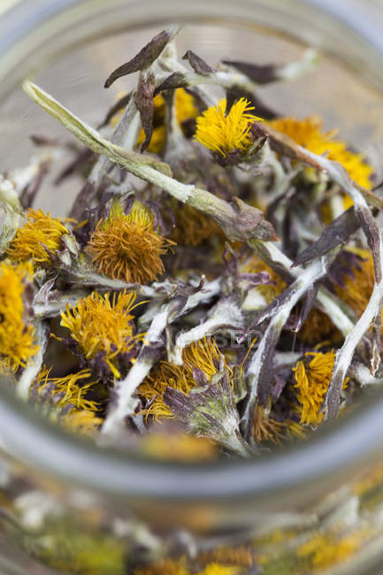 Close up of a jar containing dried coltsfoot stems and flowers — Stock Photo