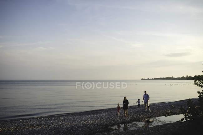 Взрослые родители гуляют с мальчиком и девочкой по галечному пляжу на озере Онтарио, Ошава, Канада — стоковое фото