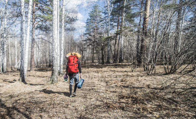 Вид сзади на молодого туриста с рюкзаком в лесу — стоковое фото