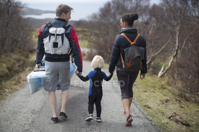 Семья ходит по проселочной дороге держа за руки, вид сзади — стоковое фото