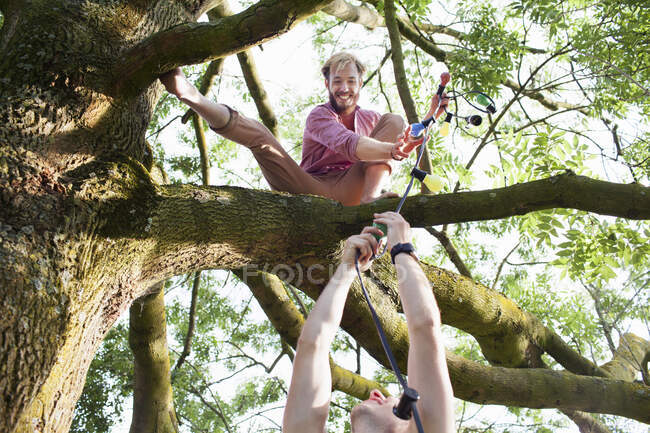 Giovani uomini che consegnano luci decorative ad un amico sull'albero alla festa del parco al tramonto — Foto stock