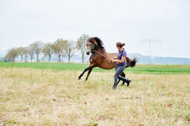 Mulher correndo e líder cavalo enquanto treinando no campo — Fotografia de Stock
