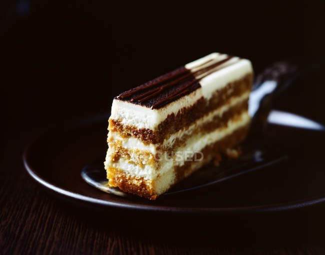 Rebanada de pastel de esponja de chocolate servido en el plato - foto de stock