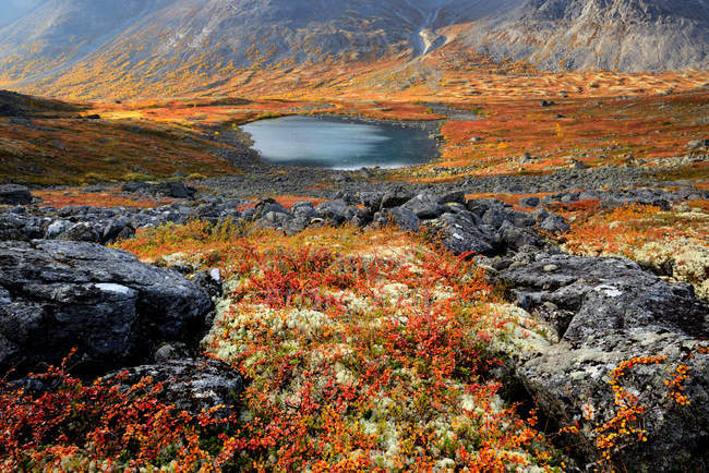 Cores do outono no vale do rio Malaya Belaya, montanhas Khibiny, Península de Kola, Rússia — Fotografia de Stock