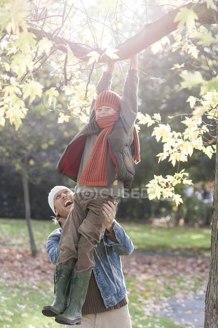 Chico balanceándose en la rama del árbol, padre sosteniéndolo firme, riendo - foto de stock