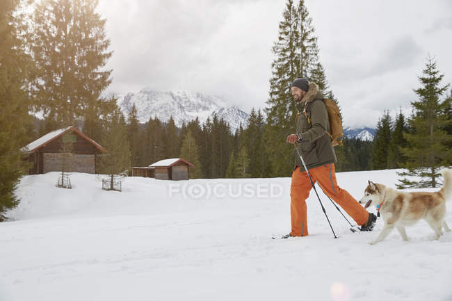 Homem adulto médio snowshoeing através da paisagem nevada, cão ao lado dele, Elmau, Baviera, Alemanha — Fotografia de Stock