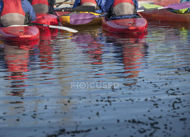 Grupo de personas en kayaks, vista trasera - foto de stock