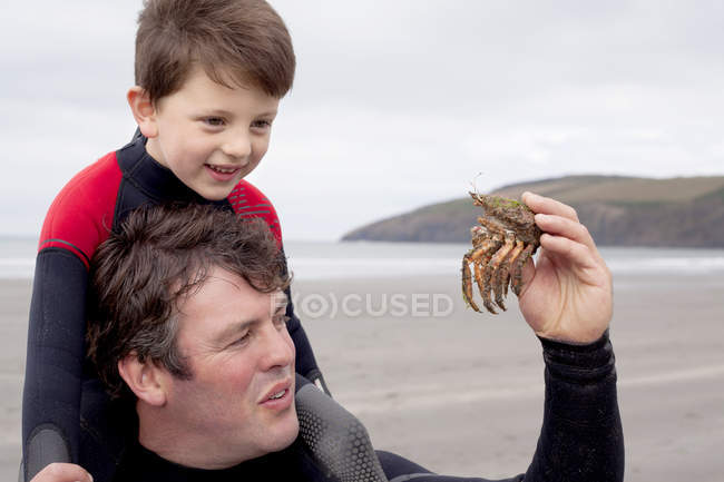 Padre sosteniendo cangrejo con hijo - foto de stock