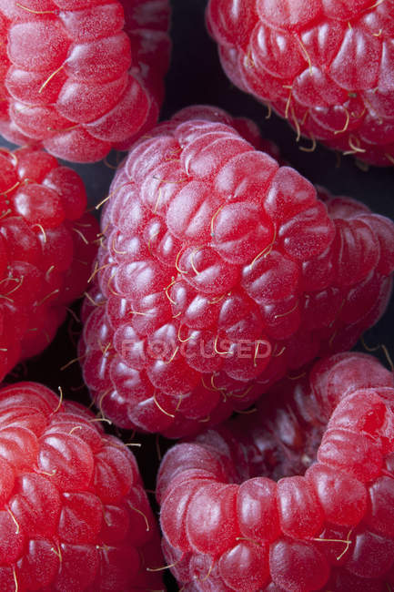 Close up of fresh picked ripe raspberries pile — Stock Photo
