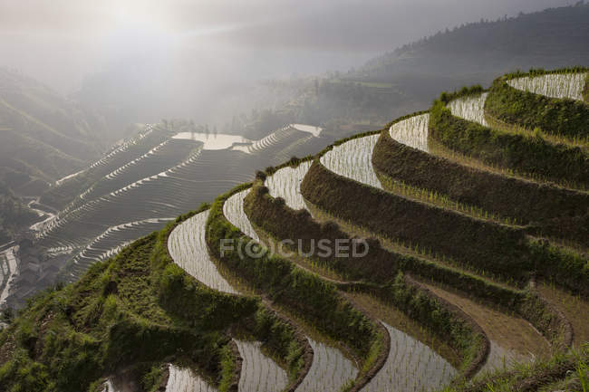 Vue à grand angle des rizières dans les champs de riz en terrasses de Longsheng — Photo de stock