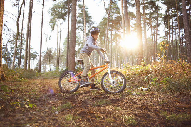 Мальчик едет на велосипеде BMX через лес — стоковое фото