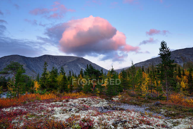 Autumn colored forest near Polygonal Lakes, Khibiny mountains, Kola Peninsula, Russia — Stock Photo