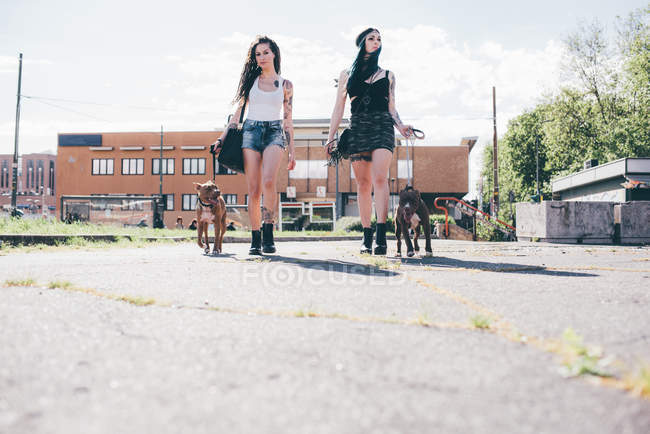 Due giovani donne che camminano pit bull dog nel quartiere residenziale urbano — Foto stock