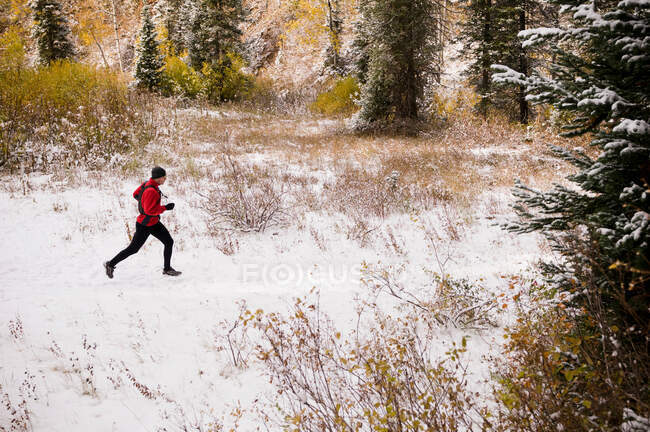 Vista aérea del hombre corriendo en el campo cubierto de nieve - foto de stock