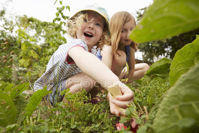 Two sisters crouching and digging in garden — Stock Photo