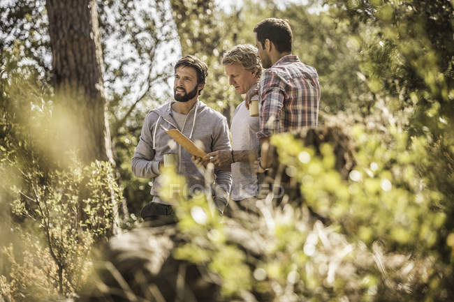 Drei männliche Wanderer lesen Landkarte im Wald, Wildpark, Kapstadt, Südafrika — Stockfoto