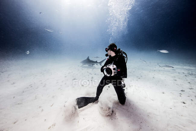 Vista subaquática do fotógrafo subaquático feminino, olhando para trás do fundo do mar — Fotografia de Stock