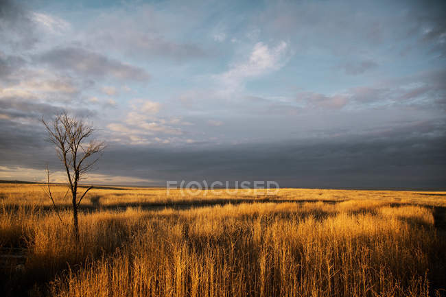 Grey clouds hovering over landscape — Stock Photo
