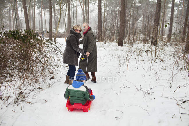 Grandparents pulling grandson on toboggan in snow — Stock Photo