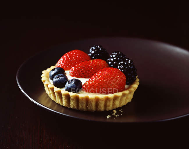 Крупным планом ягодный пирог с крошками на тарелке — стоковое фото