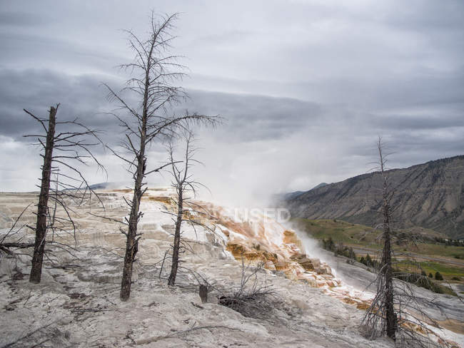 Mammoth hot springs and terraces of calcium carbon deposit, Yellowstone National Park, Wyoming, USA — Stock Photo