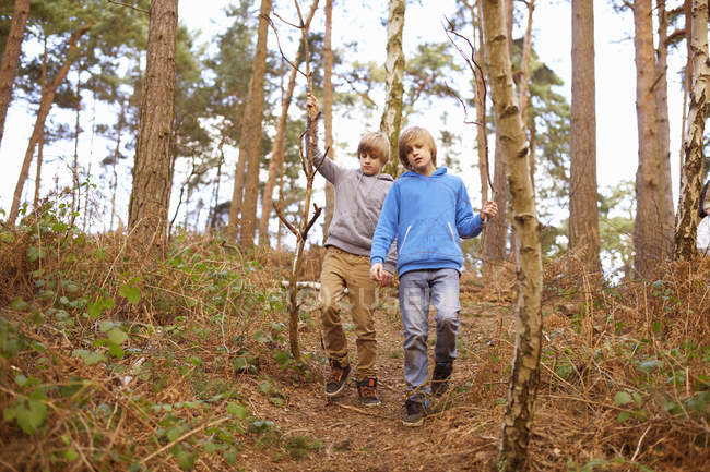 Hermanos gemelos paseando por el bosque - foto de stock