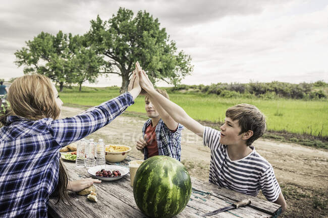 Young woman and friends giving high five at picnic table — Stock Photo
