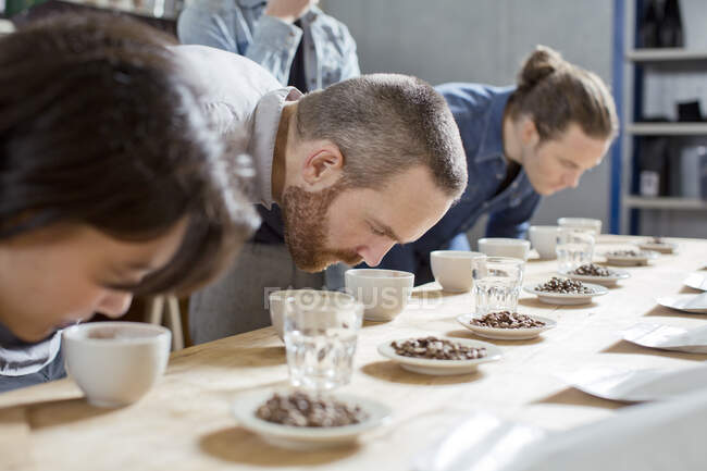 Coffee tasters smelling cups of coffee — Stock Photo