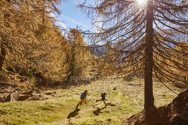 Dois irmãos correndo ao ar livre, Schnalstal, Tirol do Sul, Itália — Fotografia de Stock