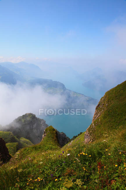 Herbe poussant sur le flanc de montagne rocheux — Photo de stock