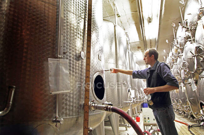 Man working in industrial wine cellar — Stock Photo