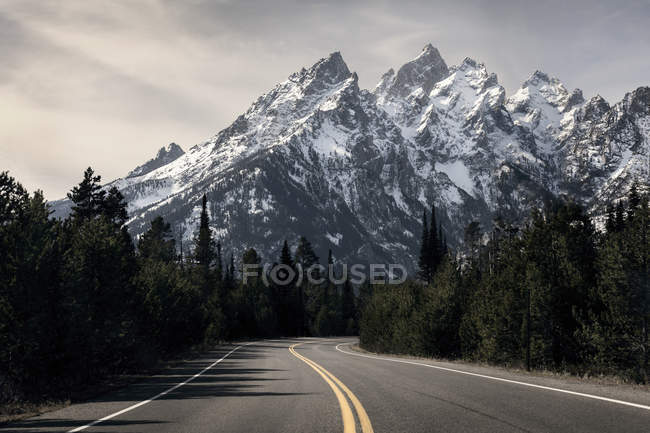 Strada tortuosa vuota con pini e rocce innevate — Foto stock