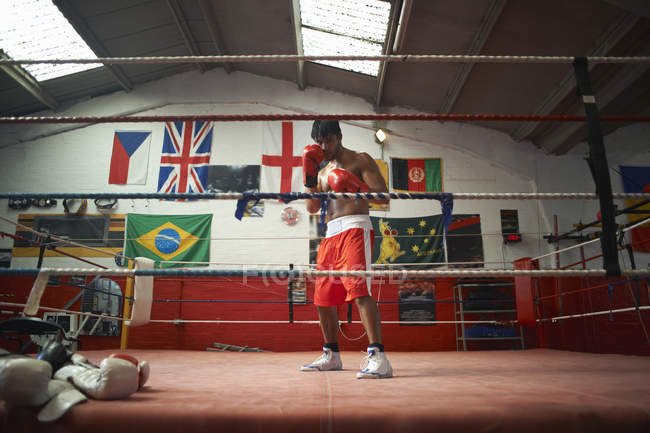 Retrato de boxeador no ringue de boxe — Fotografia de Stock