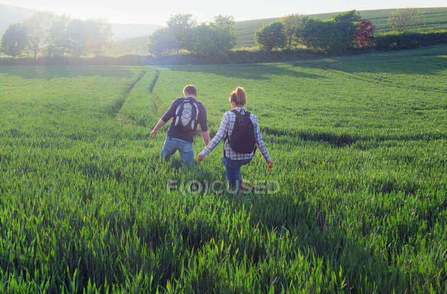 Vista trasera de la pareja de senderismo en el campo - foto de stock