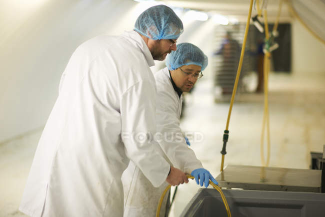 Workers wearing hair nets holding hosepipe — Stock Photo