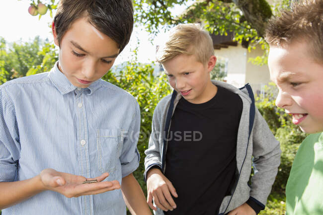 Мальчик-подросток и братья в саду смотрят на гусеницу — стоковое фото